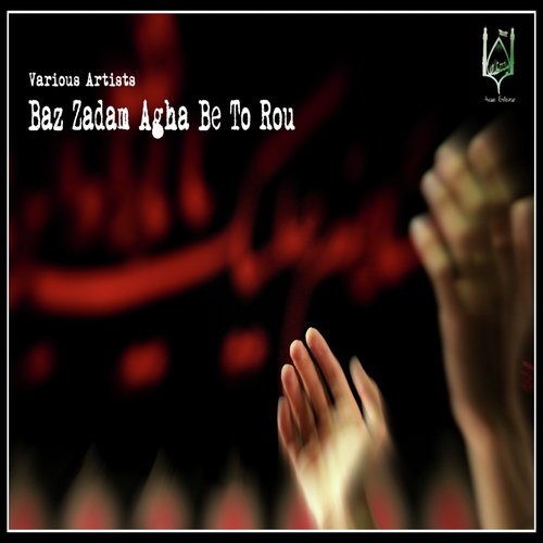 Baz Zadam Agha Be To Rou (Javad Moghadam Vocal) cover art