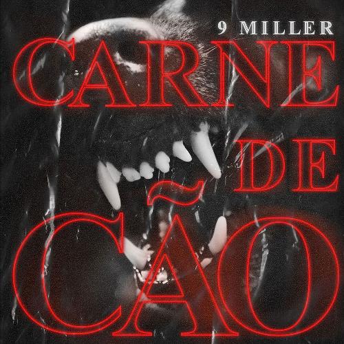 Carne de Cão