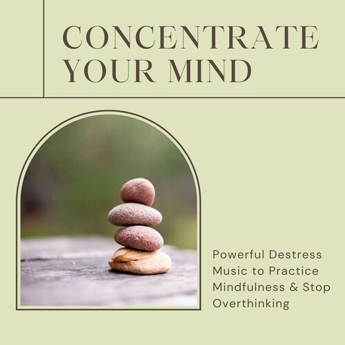 Soothing Motion cover art