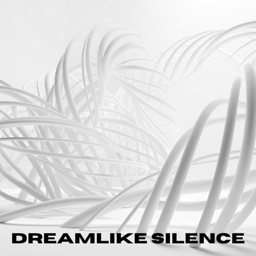 Dreamlike Silence_poster_image