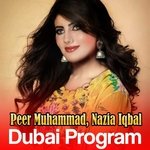 Dubai Program