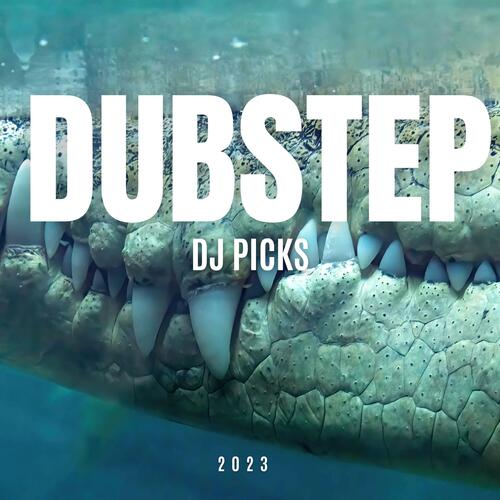 Dubstep DJ Picks 2023