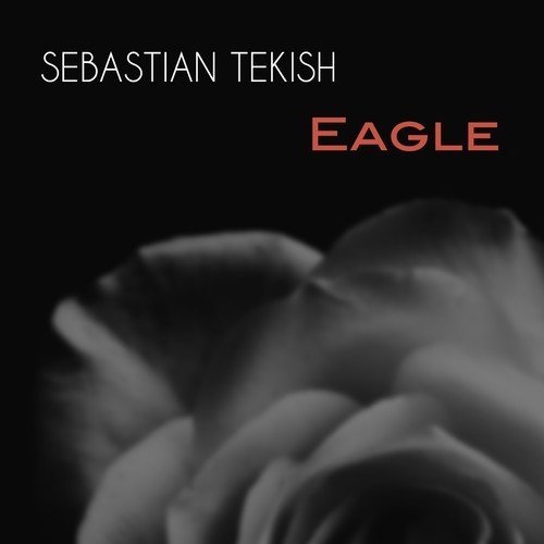 Sebastian Tekish