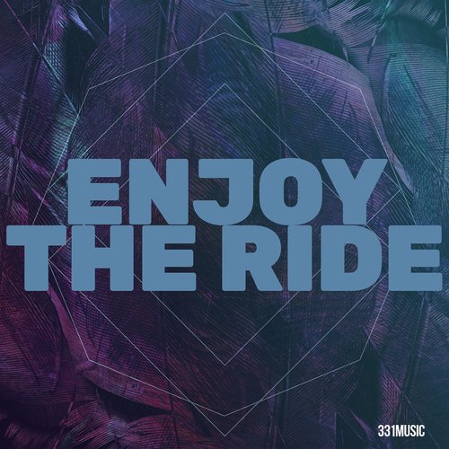 Enjoy the Ride cover art
