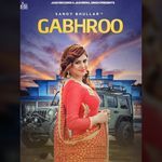 Gabhroo