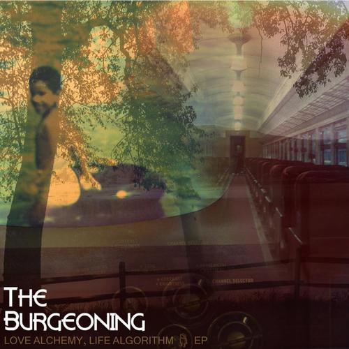 The Burgeoning