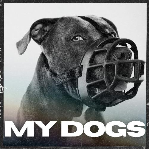 MY DOGS_poster_image