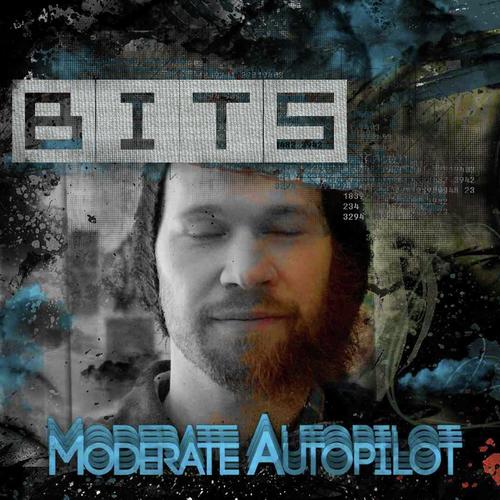 Moderate Autopilot