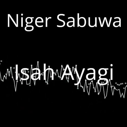 Niger Sabuwa