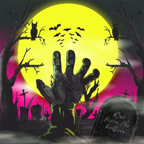 Rise from the Bottom