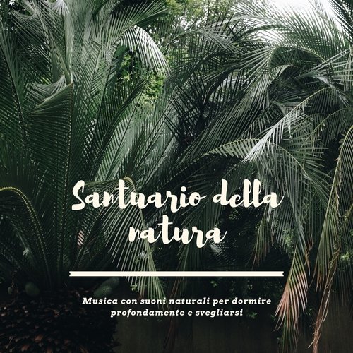 Musica terapeutica naturale cover art