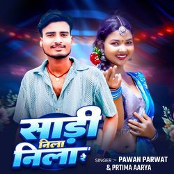 Saree Neela Neela Re