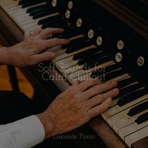 Calming Vibes cover art