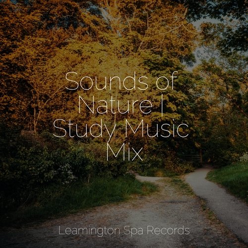 Music for Meditation cover art