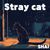 Stay Cat