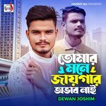 Tomar Mone Jaigar Obab Nai