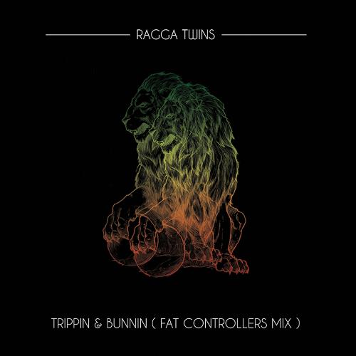 Trippin &amp; Bunnin (Fat Controller Mix)_poster_image