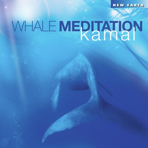 Whale Meditation