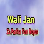 Za Partha Yam Meyan