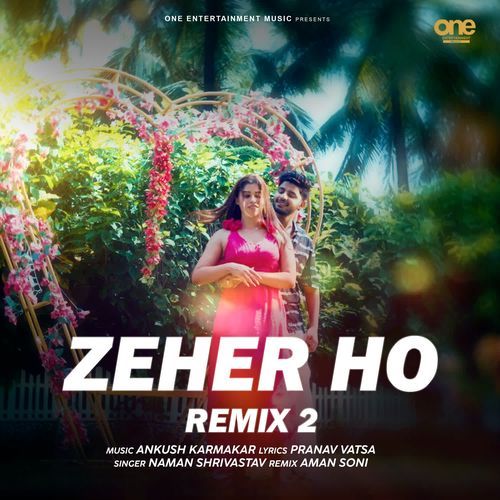Zeher Ho (Remix 2)