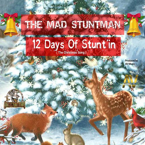 12 Days of Stunt'in