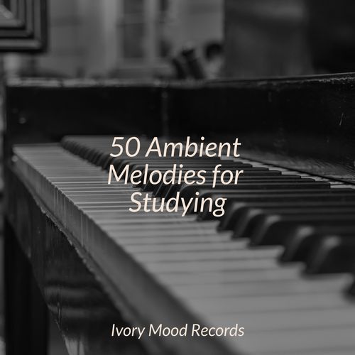 50 Ambient Melodies for Studying