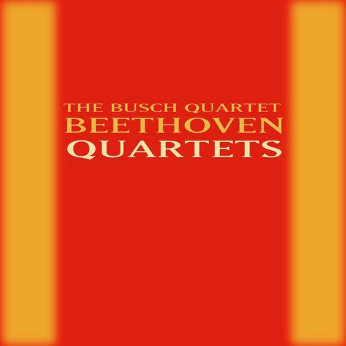 Quartet No. 9 in C Major, Op. 59 No. 3 "Rasoumovsky": IV. Allegro molto