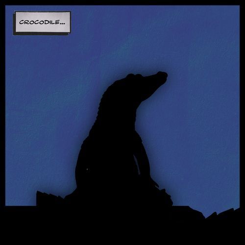 Crocodile