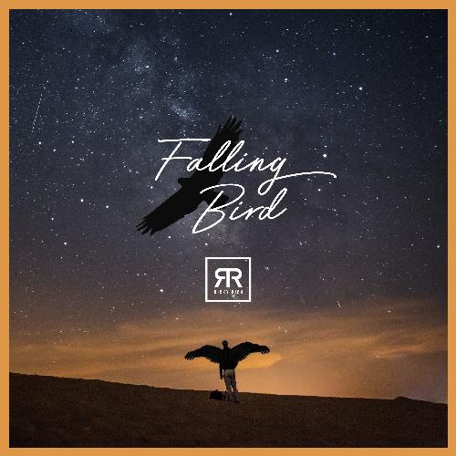 Falling Bird