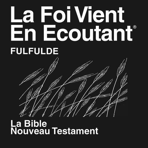 Fulfulde Adamawa Au Cameroun Nouveau Testament (Non-Dramatisé) Fulfulde Bible