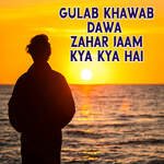 GULAB KHAWAB DAWA ZAHAR JAAM KYA KYA HAI