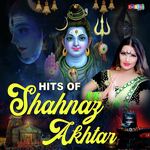 Hits Of Shehnaz Akhtar