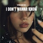 I Don't Wanna Know (Techno)