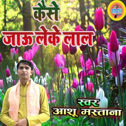 Kaise Jaau Leke Laal