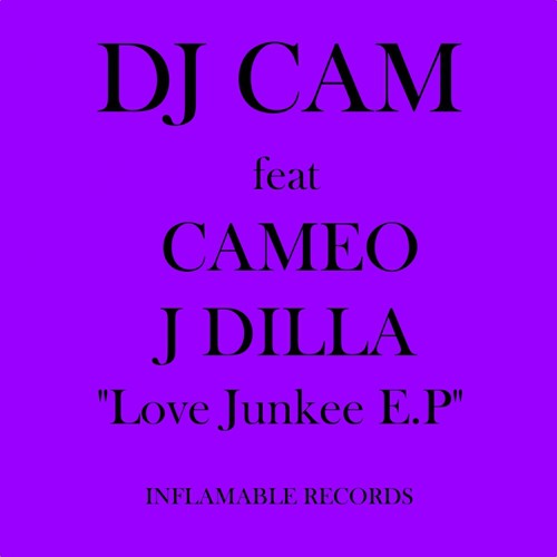 Love Junkee (J Dilla Remix Instrumental) cover art