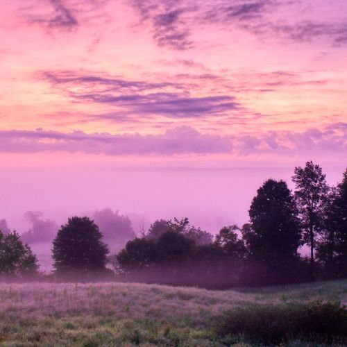 Lovescapes
