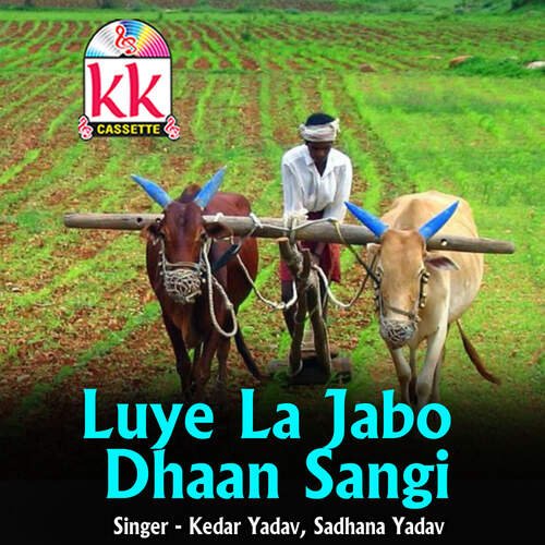 Luye La Jabo Dhaan Sangi