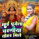 Maai Pujela Charaniya tohar mile