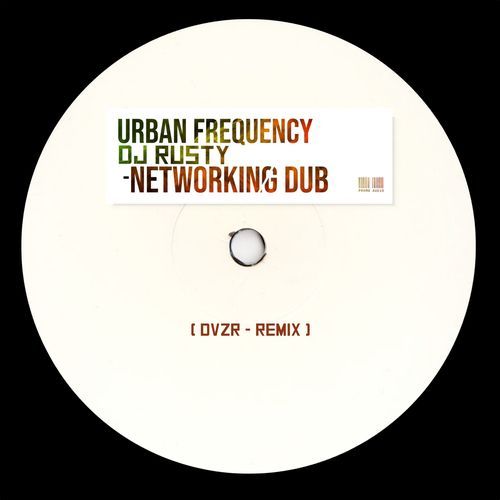 Networking Dub (DVZR remix) cover art