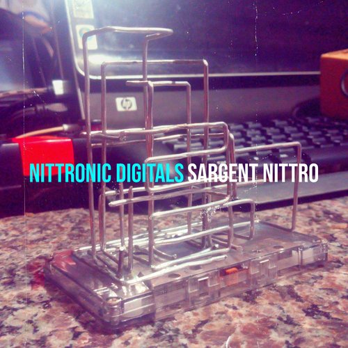 Nittronic Digitals cover art