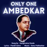 Only One Ambedkar