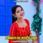 Padosin Ke Mirchi Lage