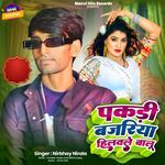 Pakadi Bajariya Hilawale Balu