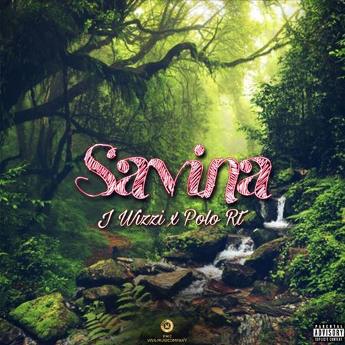 SAVINA cover art
