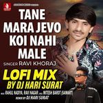 Tane Mara Jevo Koi Nahi Male Lofi Mix