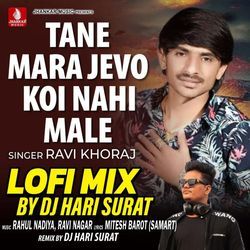 Tane Mara Jevo Koi Nahi Male Lofi Mix