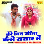 Tere bin jina kaise sansar mein (Hindi)