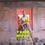 Tere Bina