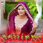 Tere Mare Roro Hu Jhot Bole Tu