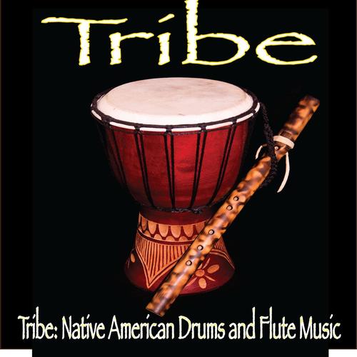 Tribe: Native American Drums